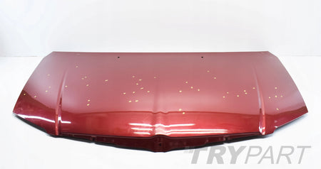 VOYAGER CHRYSLER TOWN ENGINE HOOD COVER ORG