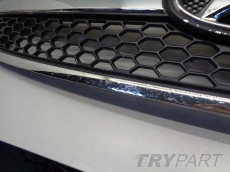 HYUNDAI H1 II 07- grill catcher
