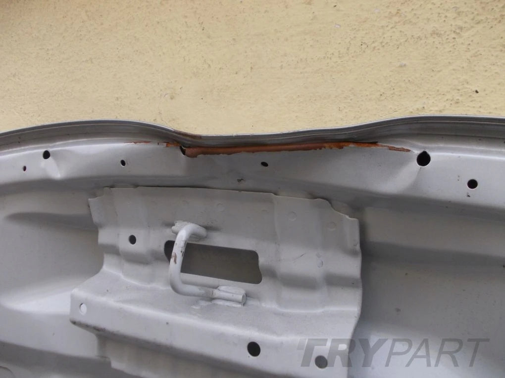 SUZUKI BALENO 2016 16- Hood