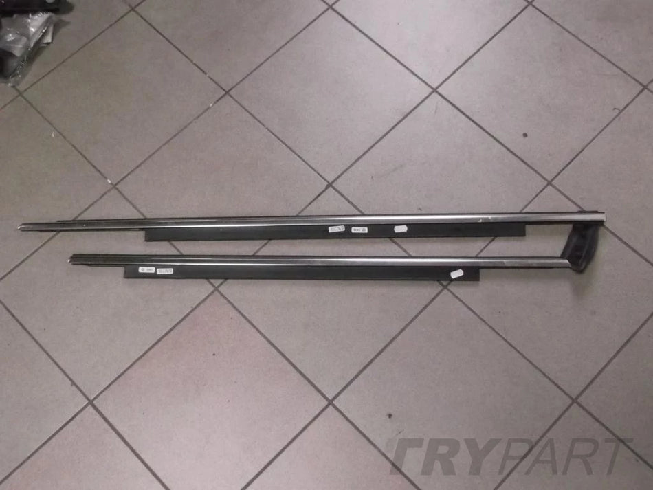 Audi A6 C7 4g0 rear door scraper strip