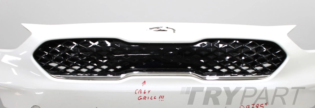KIA NIRO LIFT FRONT BUMPER ORG + GRILLE