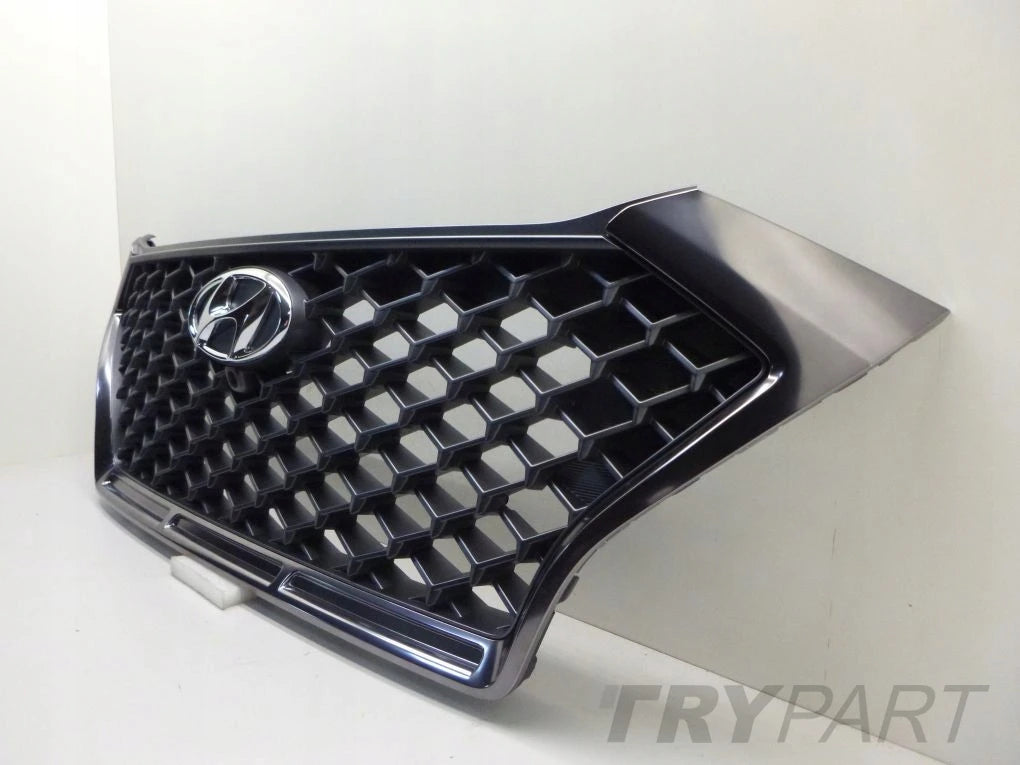 HYUNDAI TUCSON N-LINE 19- CAMERA grill grille new