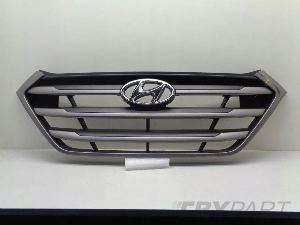 HYUNDAI TUCSON 3 III 15- grill catcher