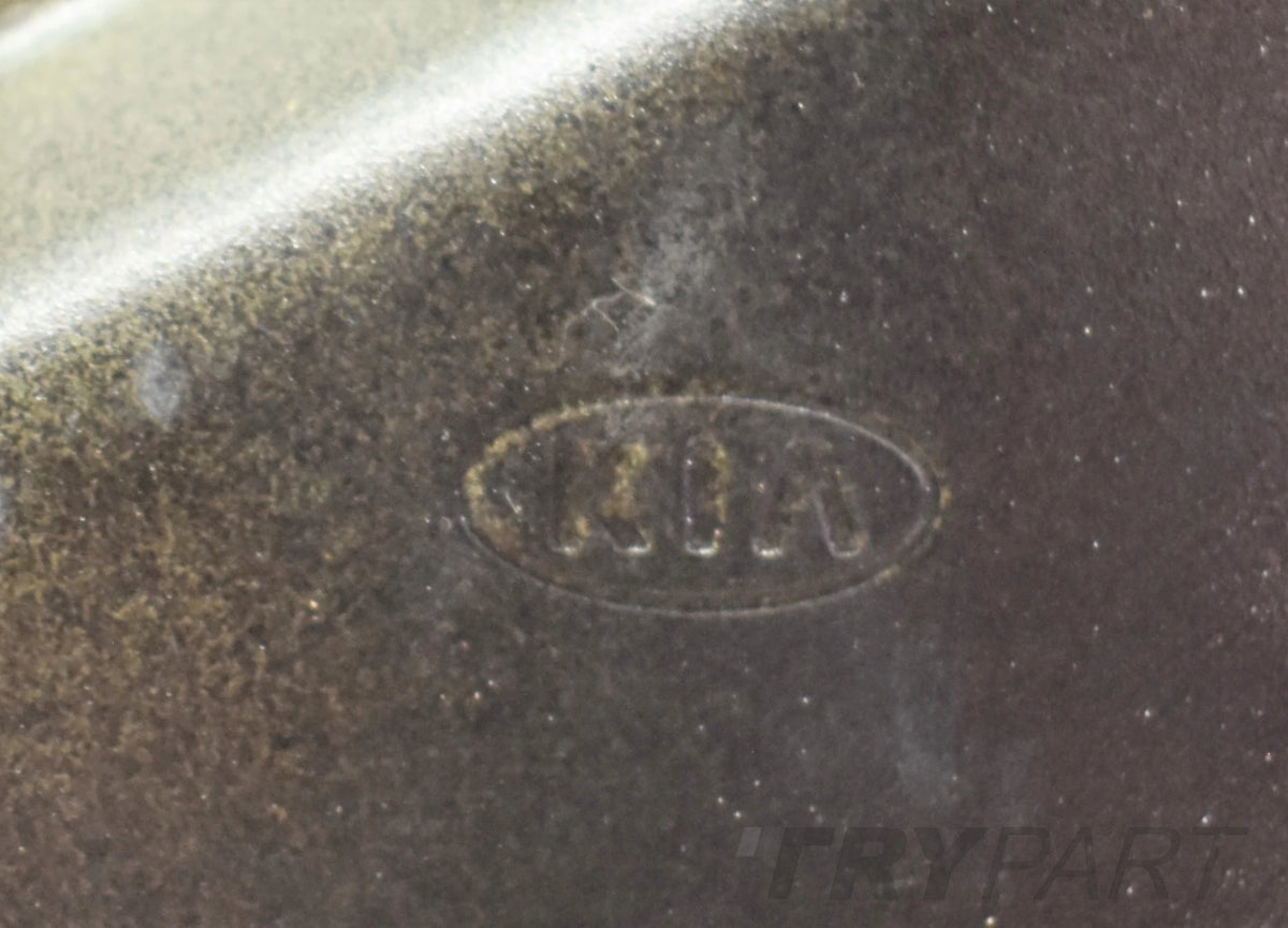KIA STINGER RIGHT REAR DOOR ORG