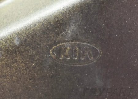 KIA STINGER RIGHT REAR DOOR ORG