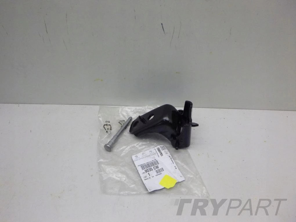 PEUGEOT 508 Right Door Hinge