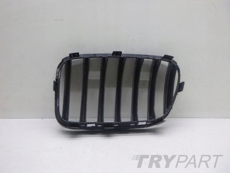 BMW X3 F25 X4 F26 Grille