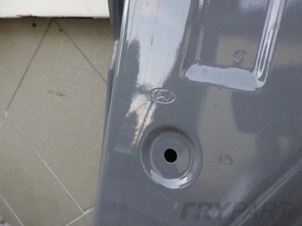 HYUNDAI TUCSON IV 4 20- Right Rear Door