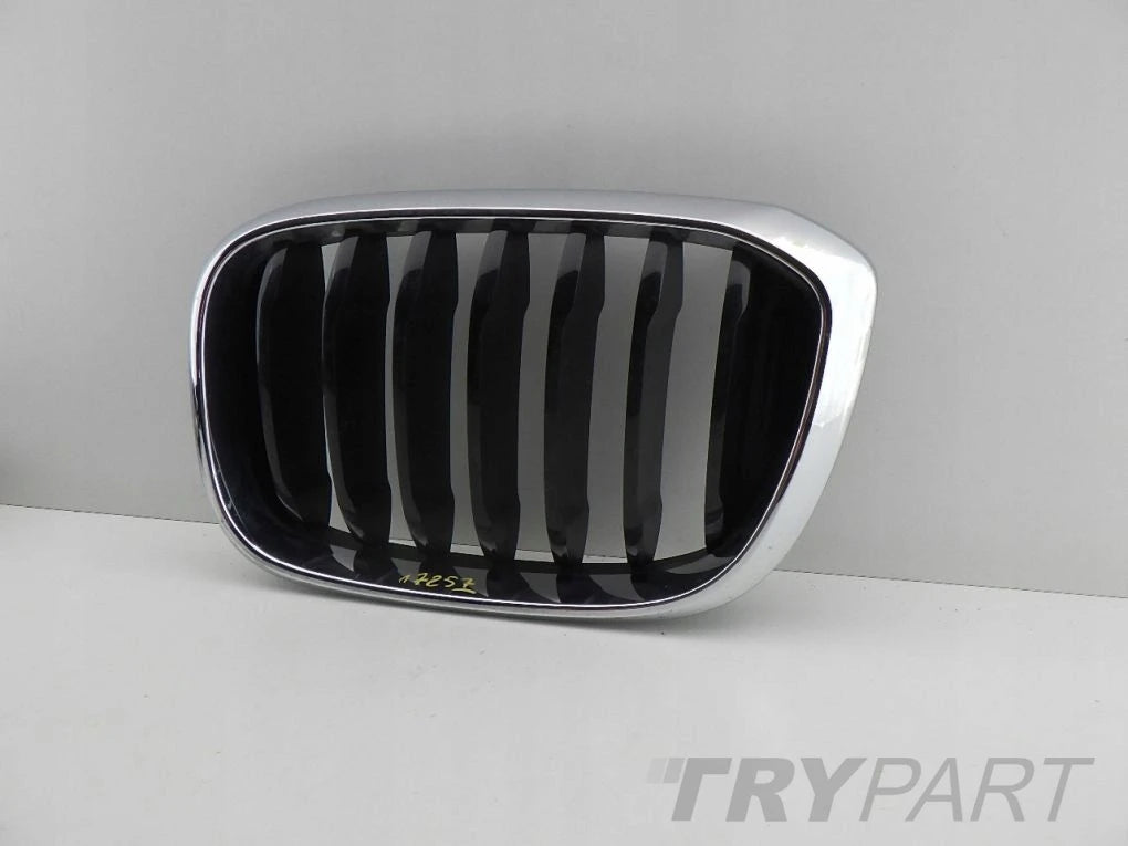BMW X3 G01 X4 G02 right left kidney grill grille