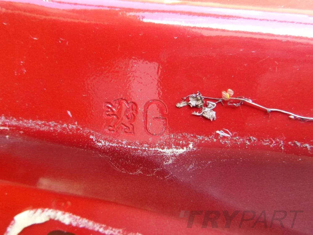 PEUGEOT 207 rear left door