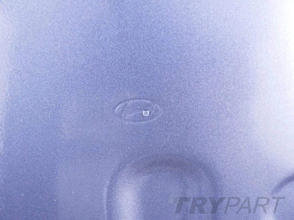 HYUNDAI KONA 17- Right Rear Door
