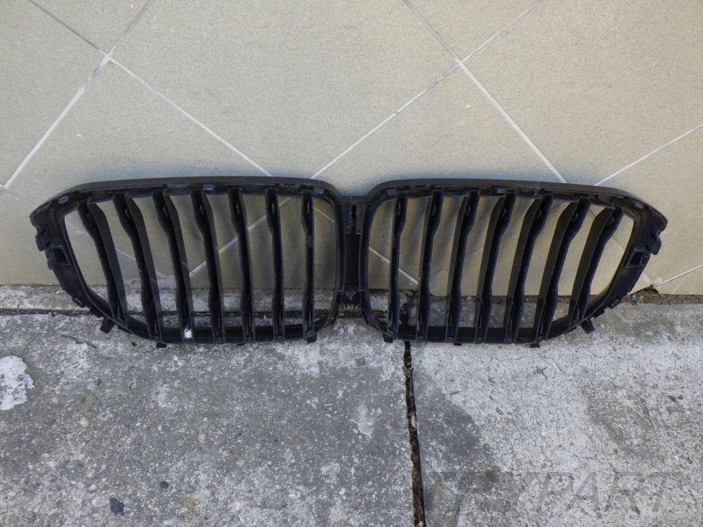 BMW X5 G05 X6 G06 Kidney Grille