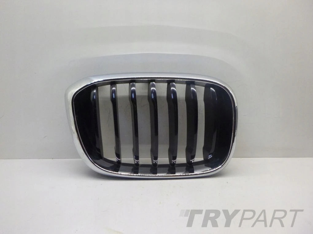 BMW X3 G01 X4 G02 left kidney grille