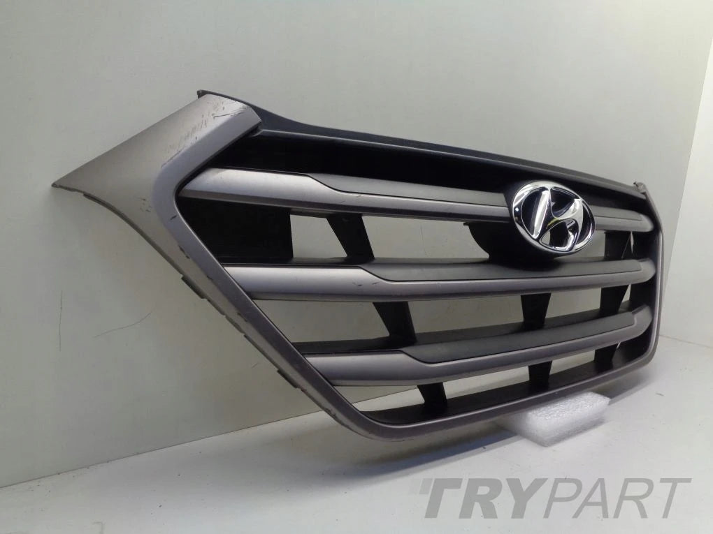 HYUNDAI TUCSON 3 III 15- grill catcher