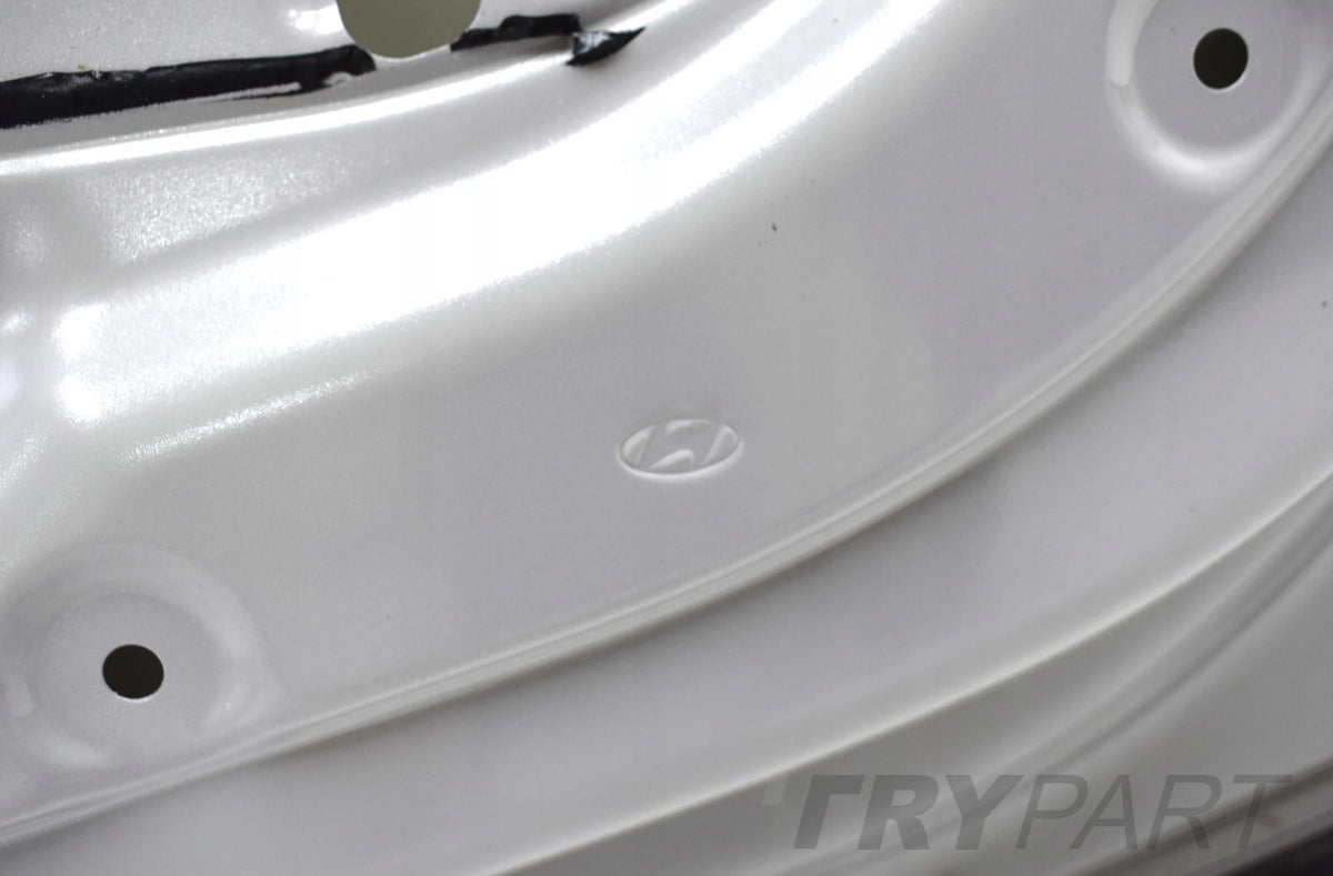HYUNDAI IONIQ 5 V RIGHT REAR DOOR ORG