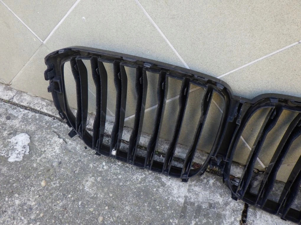 BMW X5 G05 X6 G06 Kidney Grille