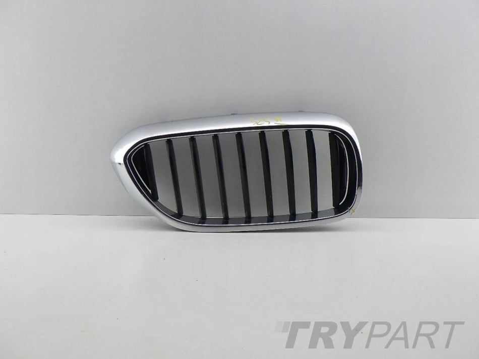 BMW 5 G30 G31 Right Kidney Grille