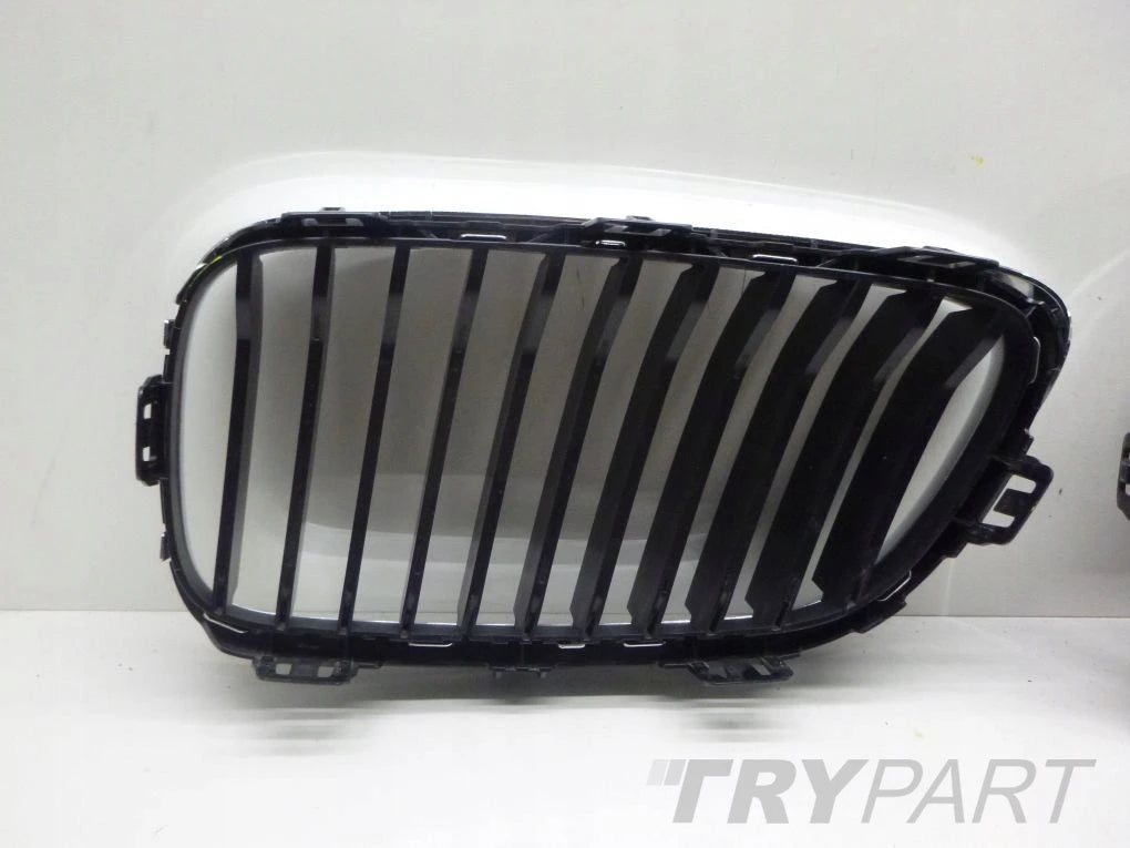 BMW F22 F23 Coupe Cabrio Left Right Kidney Grille