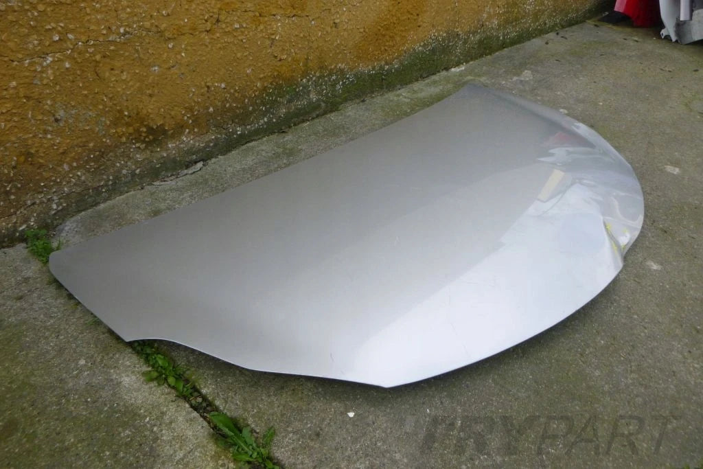 SUZUKI ALTO 09- hood
