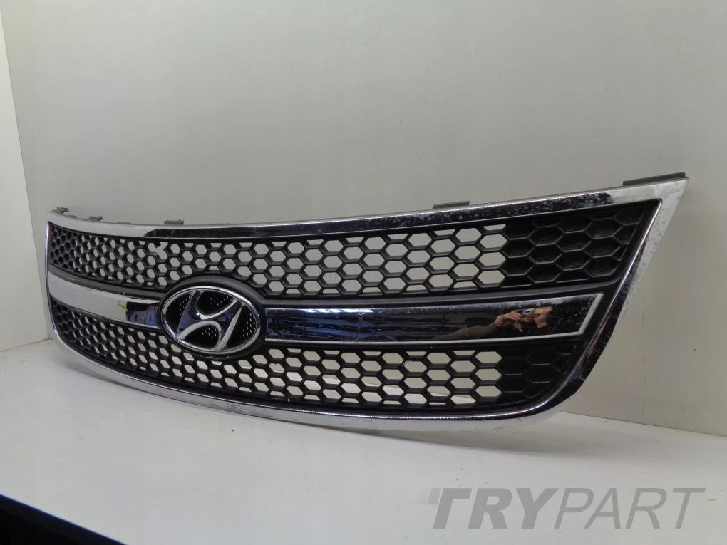 HYUNDAI H1 II 07- grill catcher