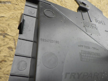 CITROEN C4 III 3 2020- Bumper Cover Plate