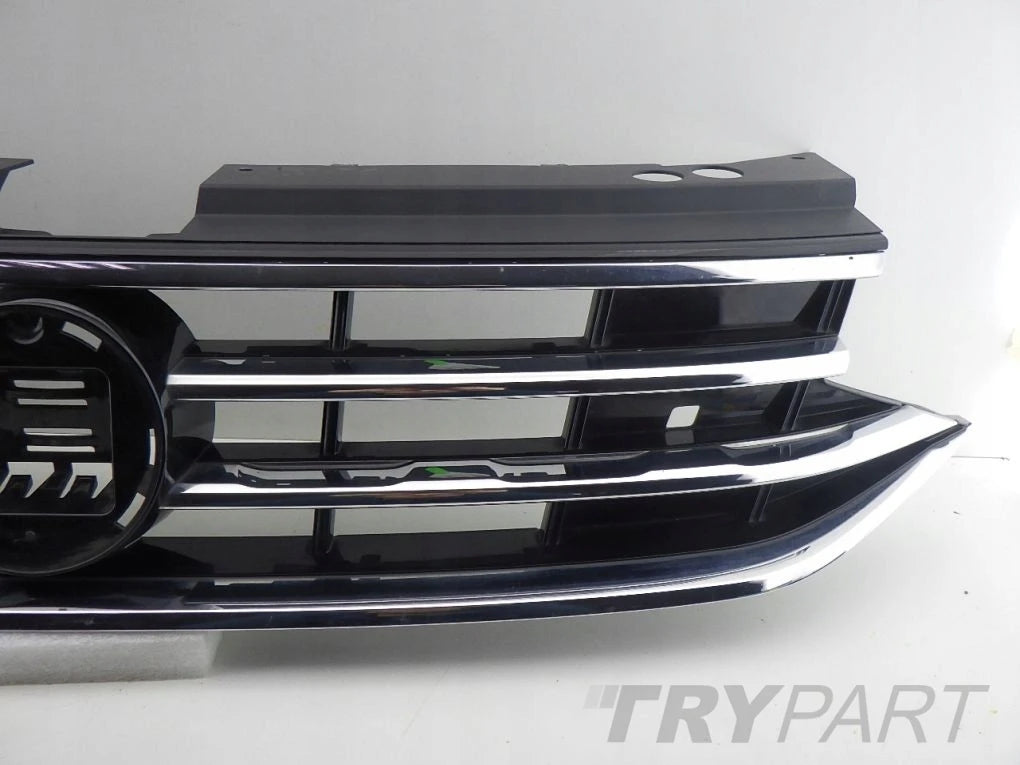 VW TIGUAN II 2 5NA LIFT 20- Grille Guard