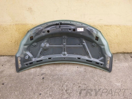 SUZUKI ALTO 09- hood