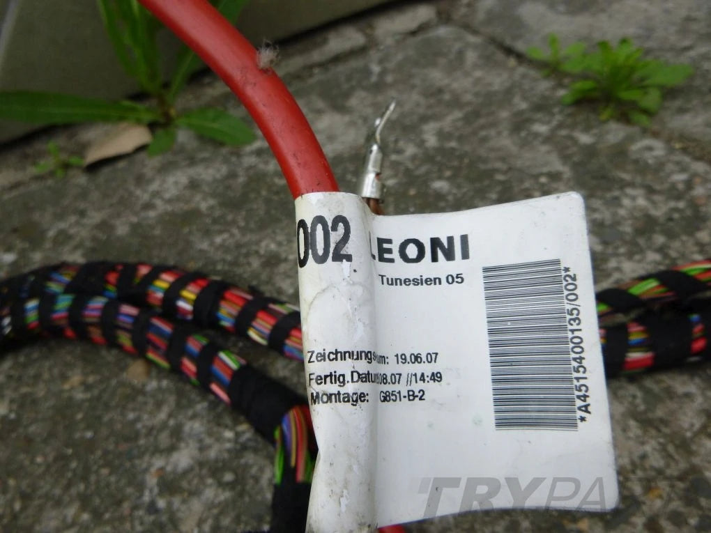 SMART FORTWO 451 Main Wiring Harness