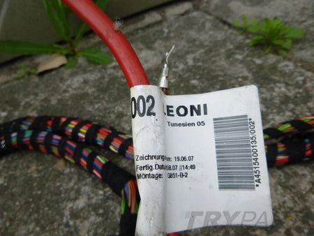 SMART FORTWO 451 Main Wiring Harness
