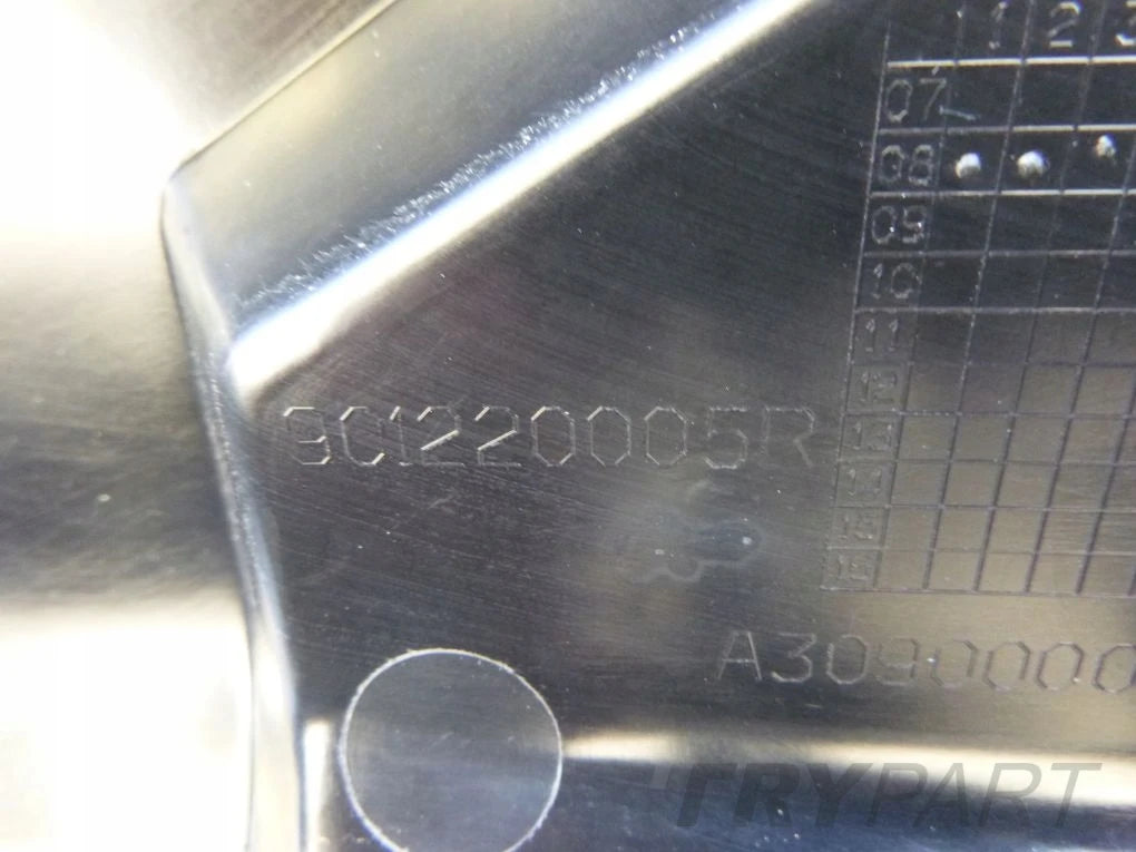 RENAULT LAGUNA III COUPE 07- Rear Trunk Lid