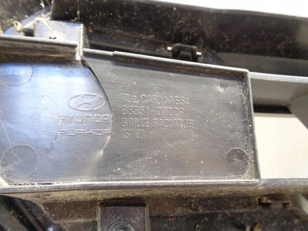 HYUNDAI TUCSON 3 III 15- grill catcher
