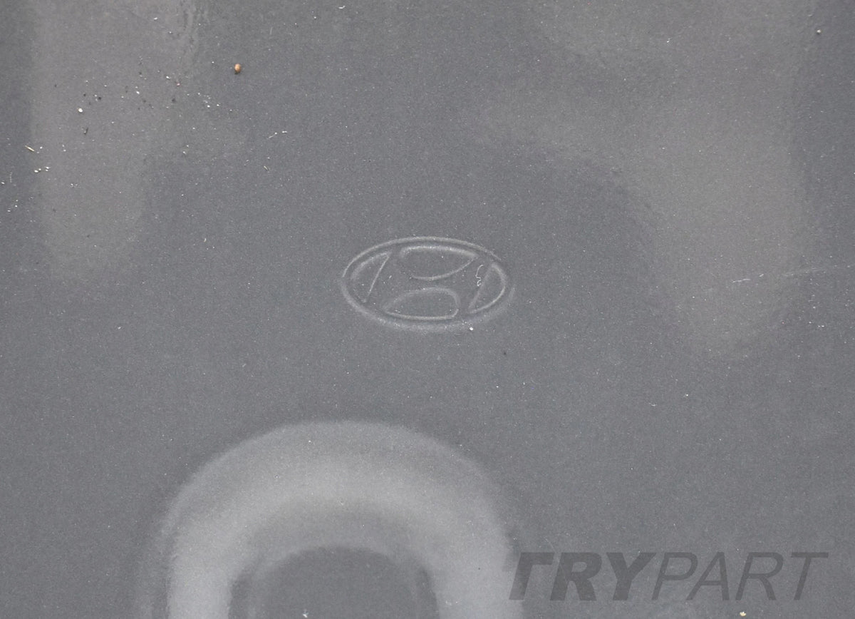 HYUNDAI KONA LEFT REAR DOOR ORG