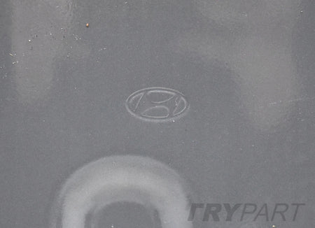 HYUNDAI KONA LEFT REAR DOOR ORG