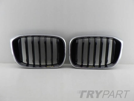 BMW X3 G01 X4 G02 right left kidney grill grille