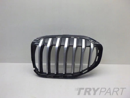 BMW 1 F40 Grille Kidney Left