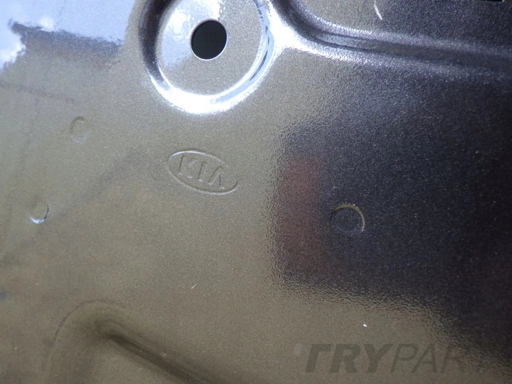 KIA SORENTO 4 IV MQ4 2020- Rear Right Door