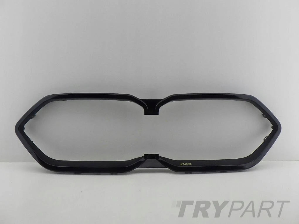 BMW X2 U10 Grille Insert