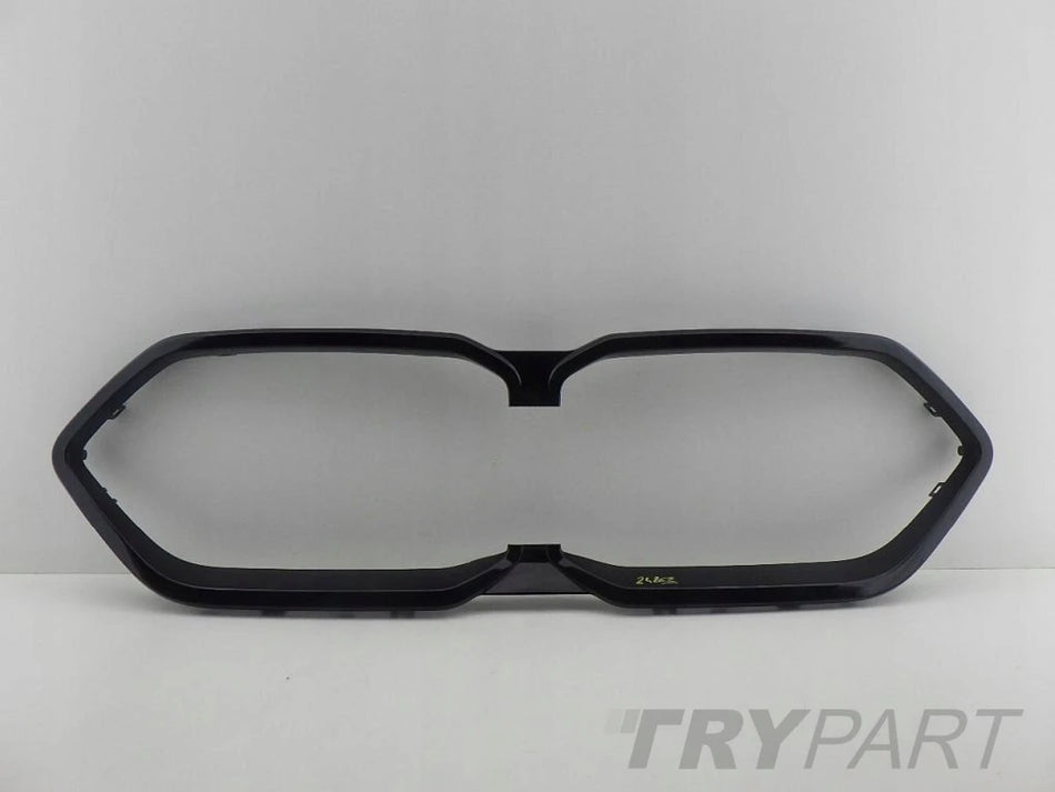 BMW X2 U10 Grille Insert