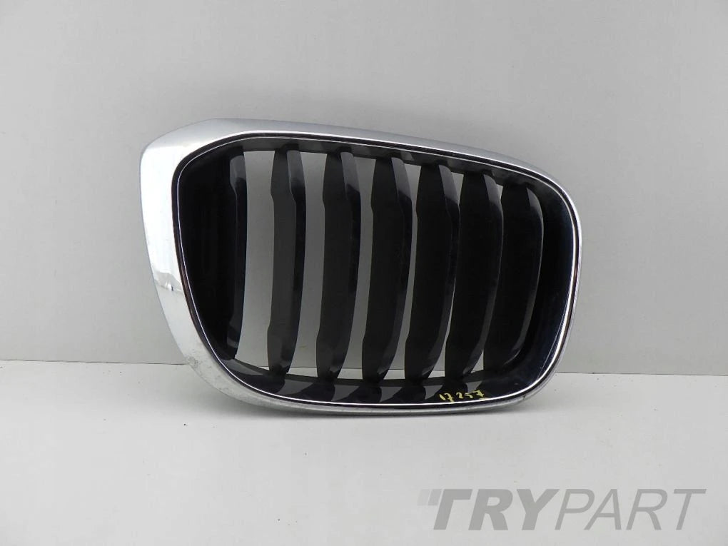 BMW X3 G01 X4 G02 right left kidney grill grille