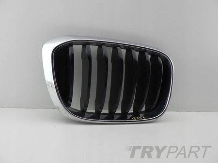 BMW X3 G01 X4 G02 right left kidney grill grille