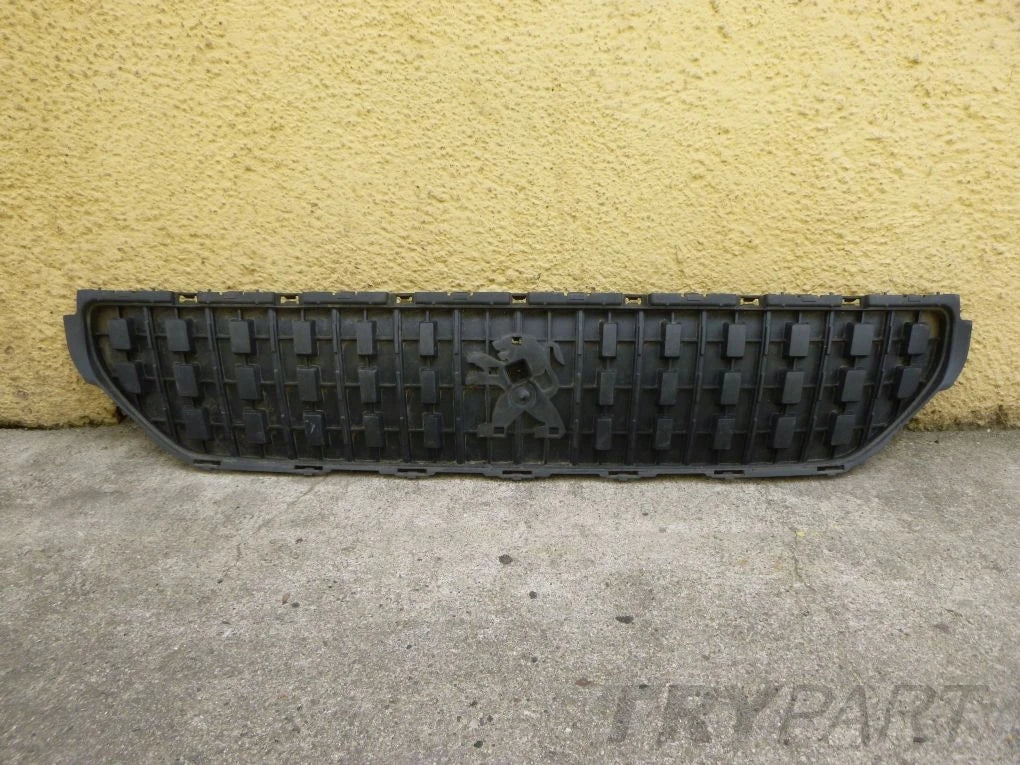 PEUGEOT EXPERT 17- grille catch