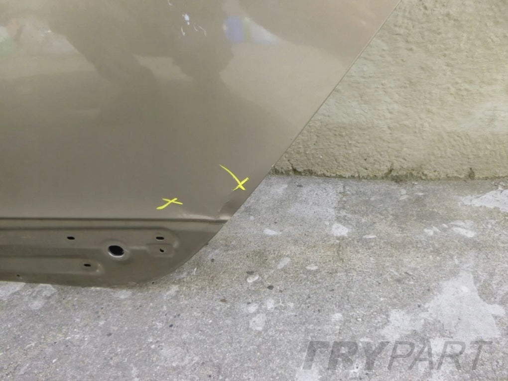 RENAULT SCENIC III 08- Rear Left Door