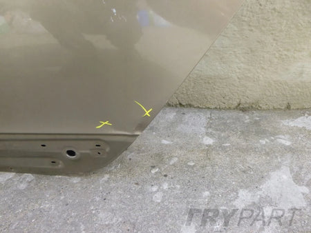 RENAULT SCENIC III 08- Rear Left Door