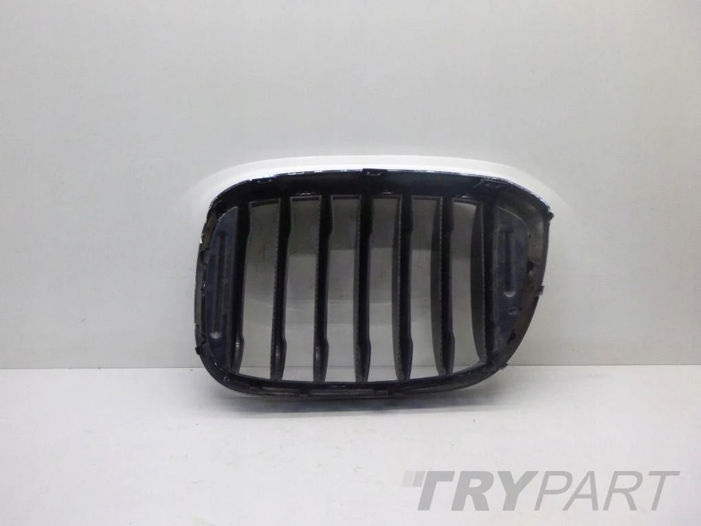 BMW X3 G01 X4 G02 left kidney grille