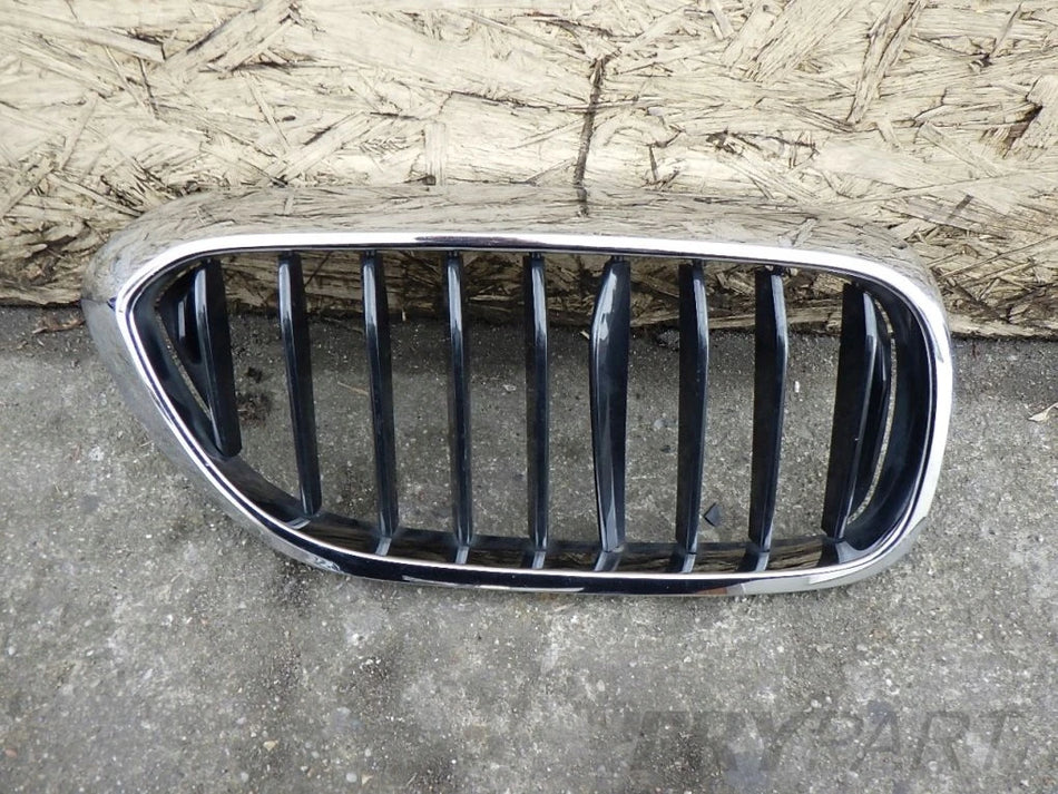 BMW 5 G30 G31 Grille