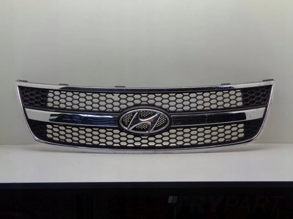 HYUNDAI H1 II 07- grill catcher