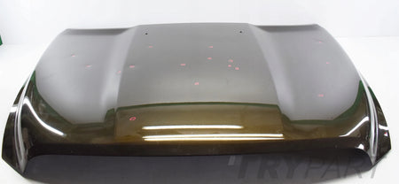 DODGE RAM HOOD ENGINE COVER ORG 14+