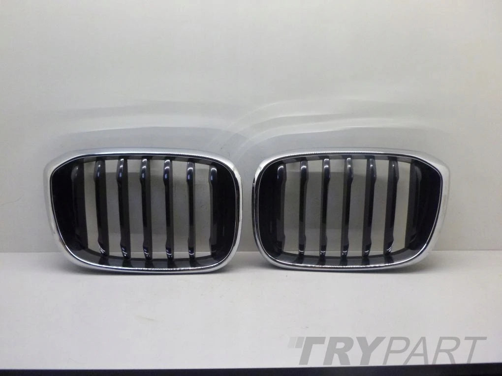 BMW X3 G01 X4 G02 left kidney grille
