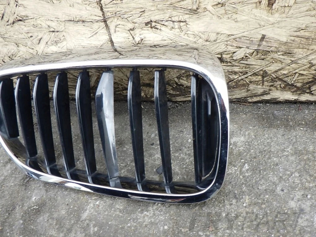BMW 5 G30 G31 Grille