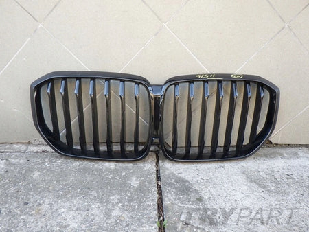 BMW X5 G05 X6 G06 Kidney Grille